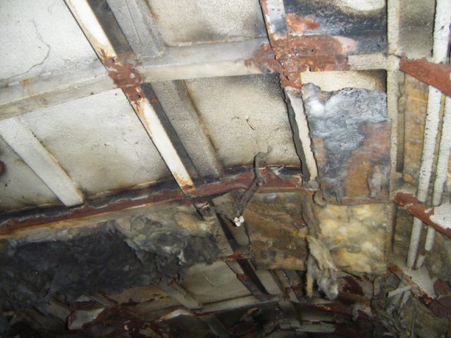 El techo del tren, el 16 de septiembre de 2013