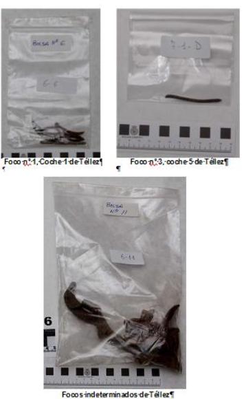muestras de Téllez que llegaron al laboratorio Tedax
